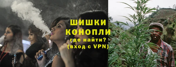 PSILOCYBIN Сосновый Бор