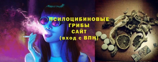 винт Алексин