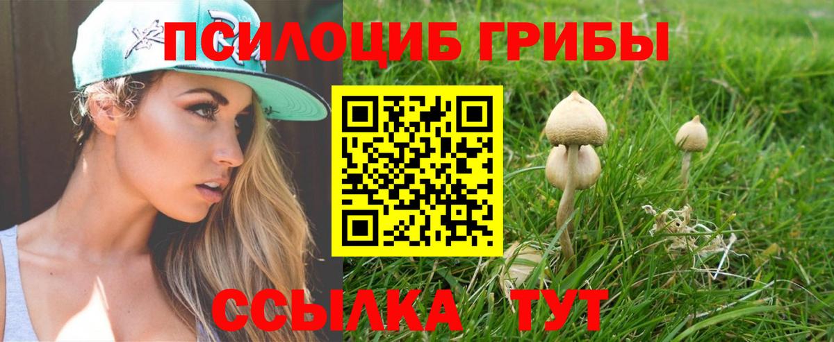 Галлюциногенные грибы мицелий  Вход с VPN  Коркино 